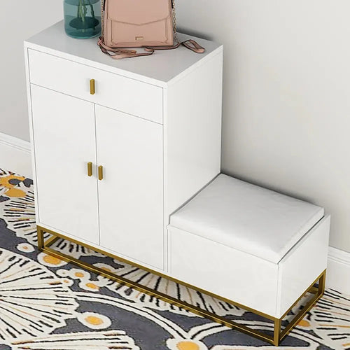 Aldo shoe rack