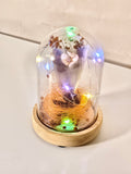 Enchanted Flower Glass Dome with LED Fairy Lights