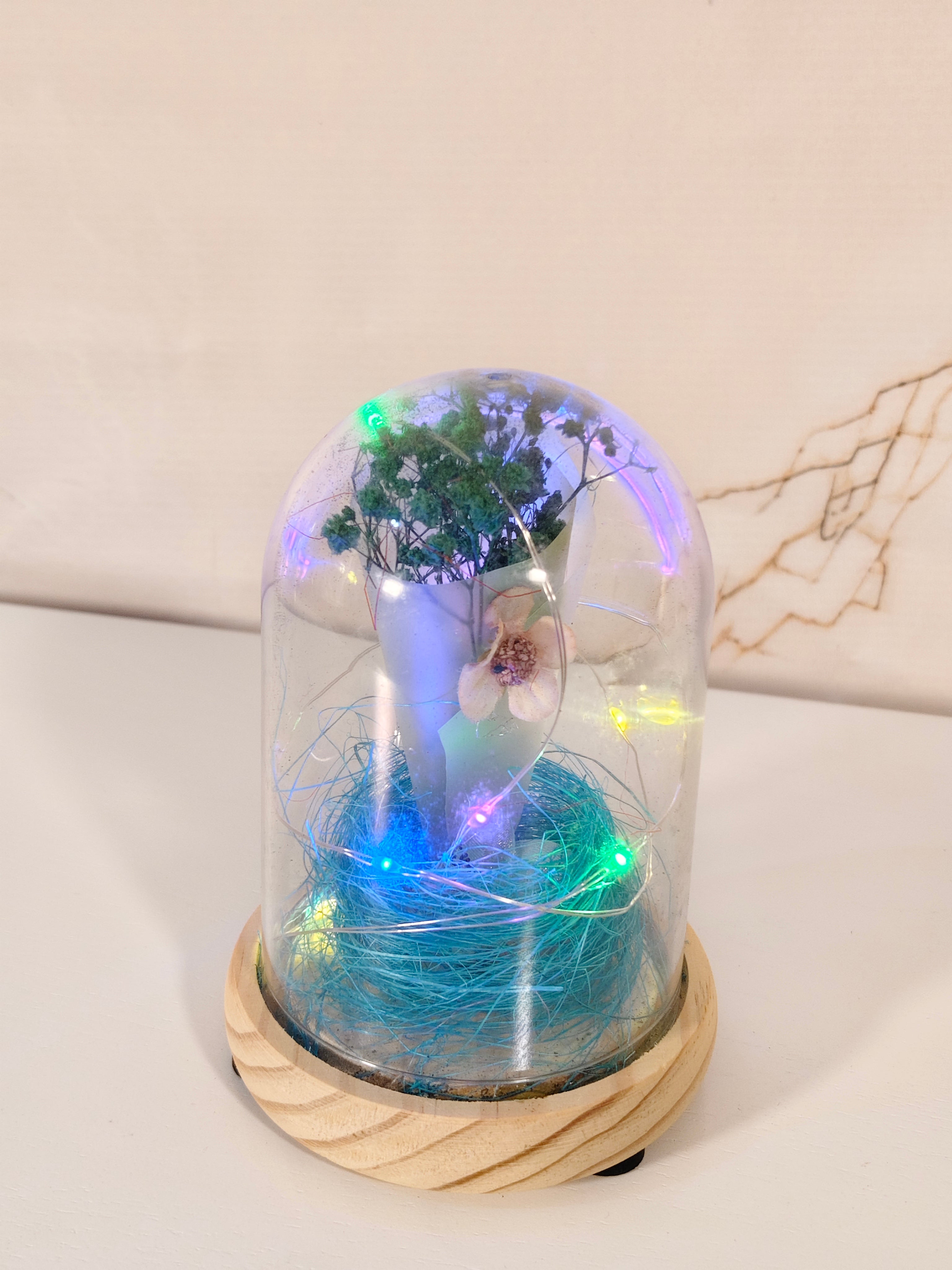 Enchanted Flower Glass Dome with LED Fairy Lights