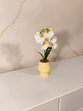 Luxury Premium Artificial Orchid Arrangement in Yellow Ceramic Pot