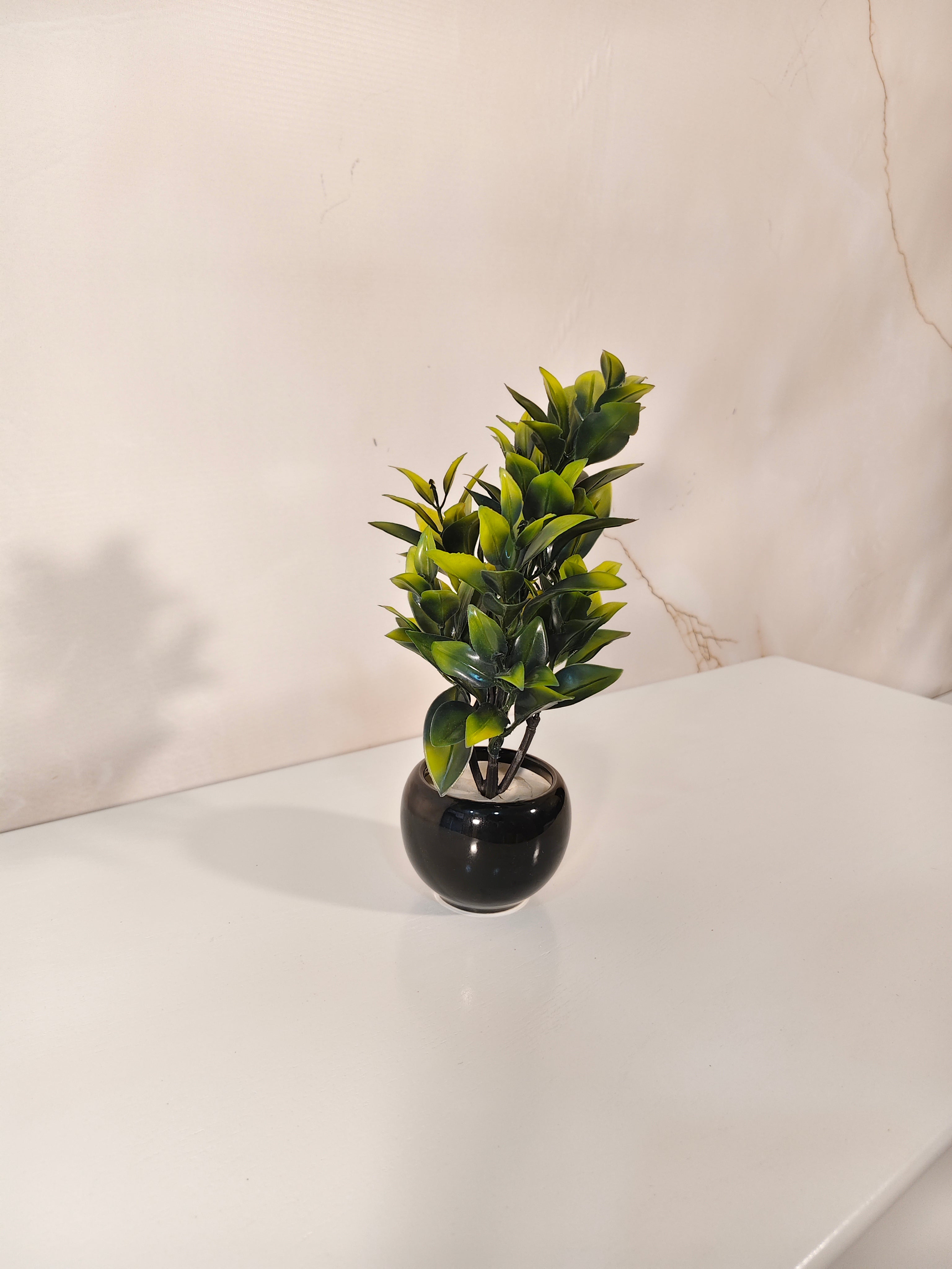 Mini Decorative Artificial Plant in Glossy Black Ceramic Pot
