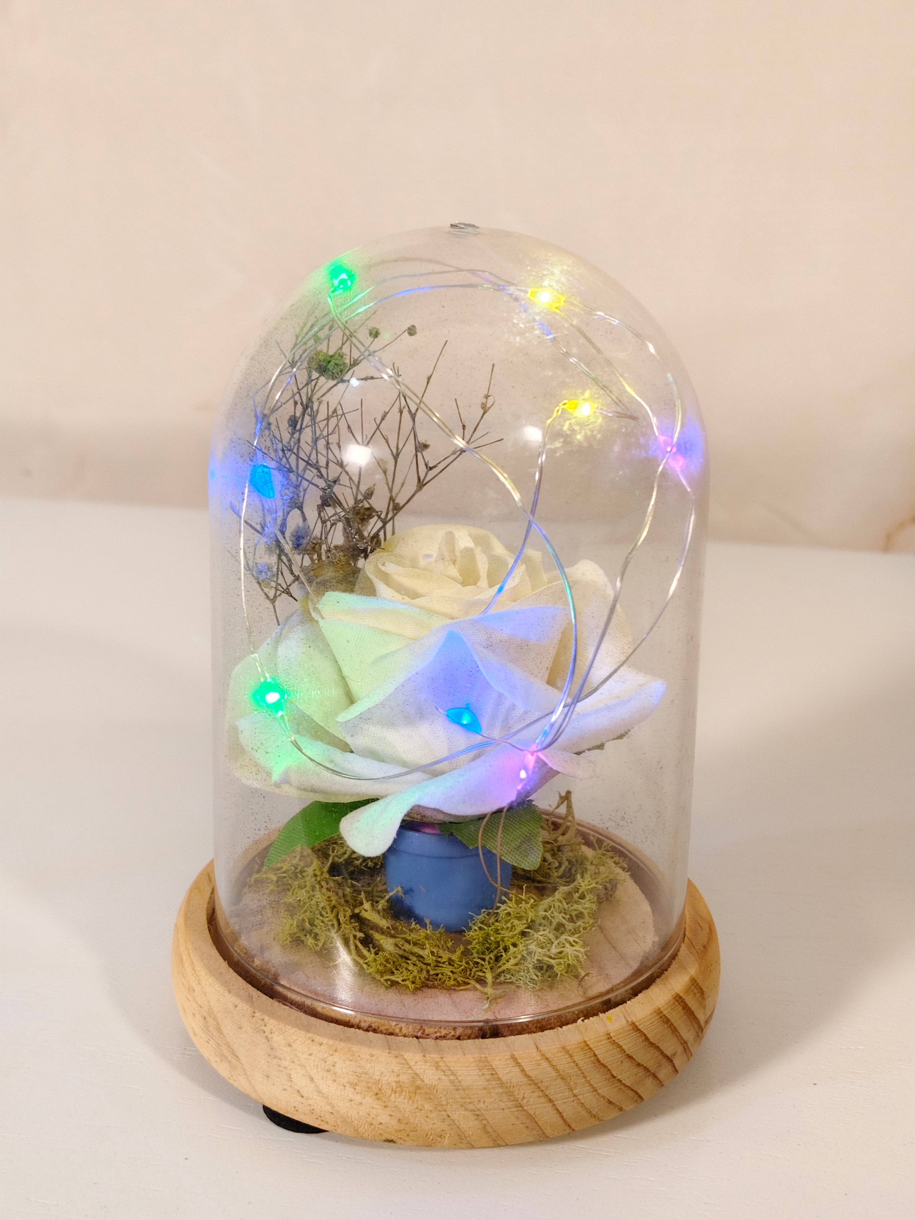 Enchanted Flower Glass Dome with LED Fairy Lights