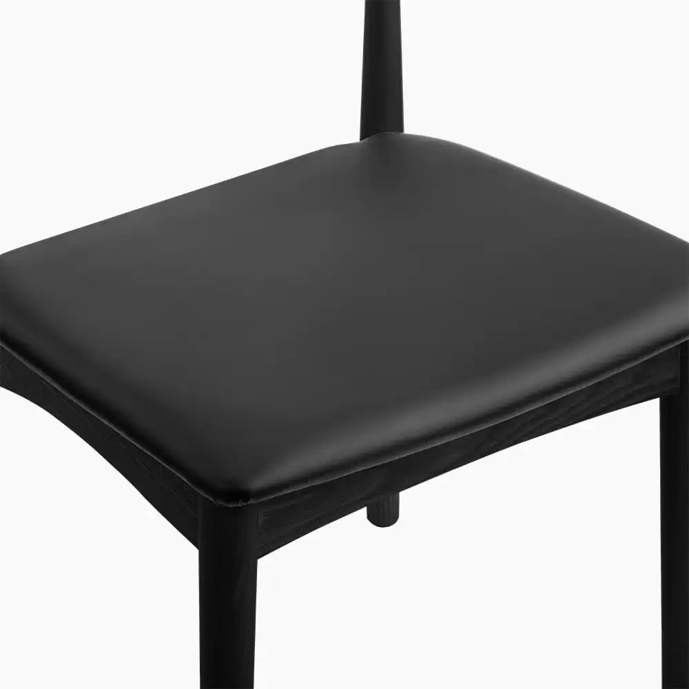 Salar dinning chair